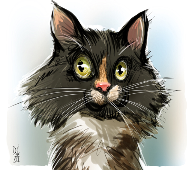 Studio caricatures and caricature illustration art in ottawa ontario