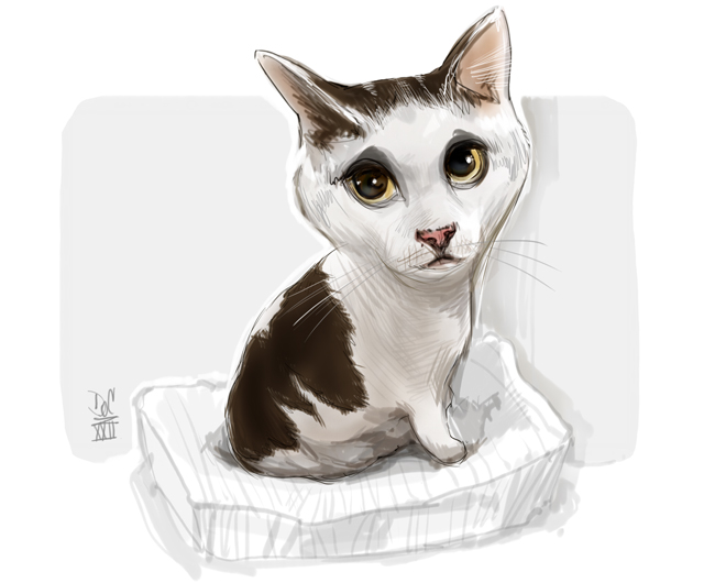 Studio caricatures and illustrations in ottawa ontario