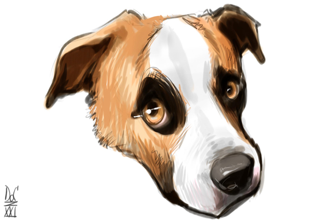 Studio caricatures and illustrations in ottawa ontario