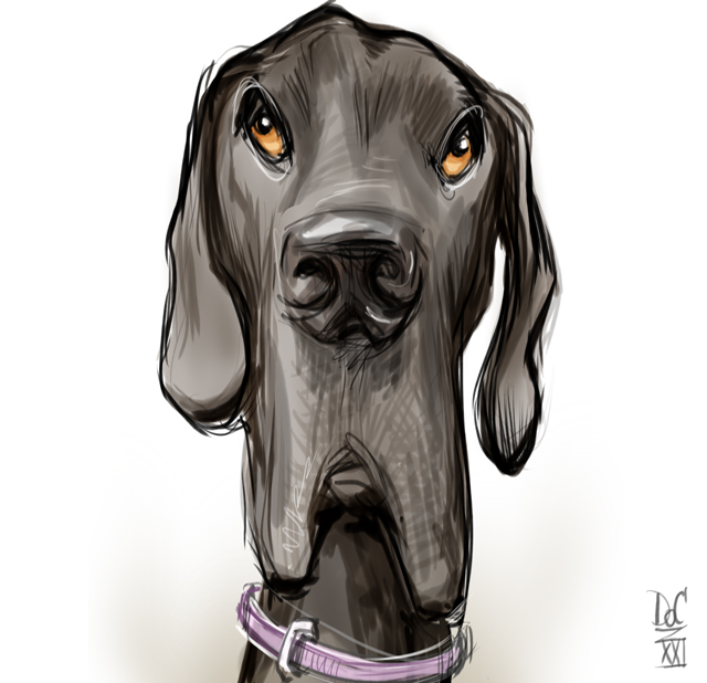 Studio caricatures and illustrations in ottawa ontario